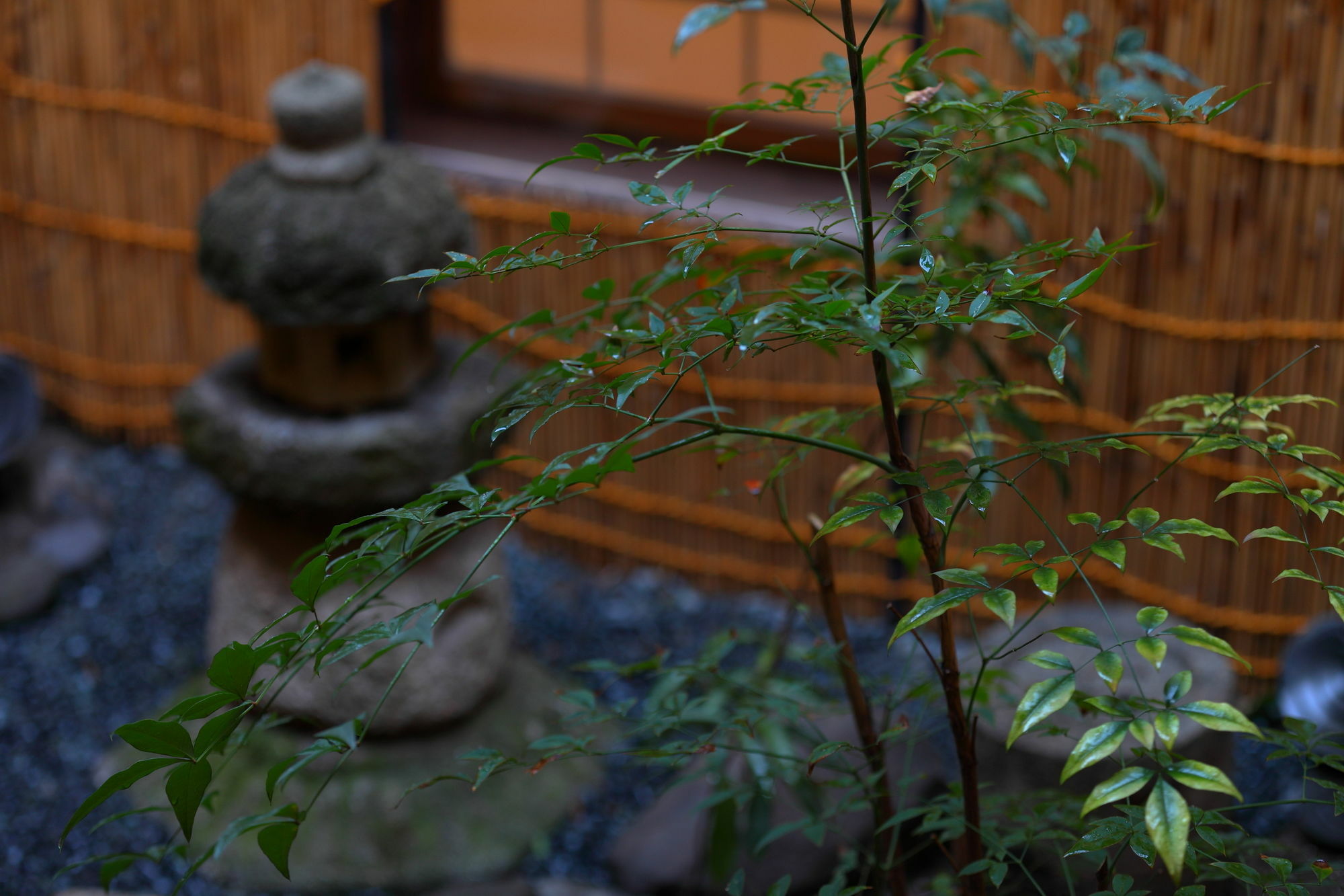 Sanjojuku Kyoto Machiya Albergue Exterior foto